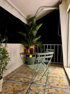 a plant sitting on a table on a balcony at 4 bedroom house Le Cannet in Le Cannet