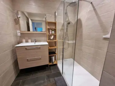 a bathroom with a shower and a sink at Appartement entier cosy au calme in Le Cannet