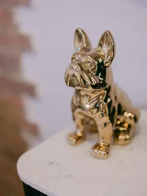 a gold figurine of a dog sitting on a table at La Casa du Suquet, zone piétonne in Cannes