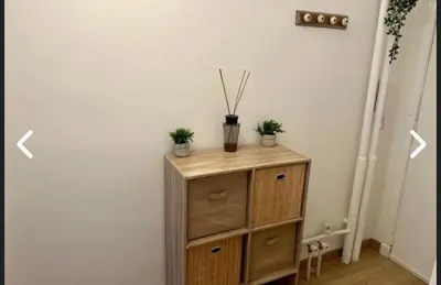 a wooden cabinet with potted plants on top of it at CANNES Inn Appartement in Le Cannet