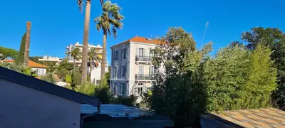 an old white building with palm trees and bushes at Lisa Appartement de charme in Cannes