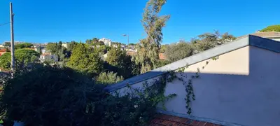 a white wall with vines growing on it at Lisa Appartement de charme in Cannes