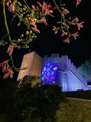 a building covered in blue lights next to a tree at Appartement moderne avec vue mer à Cannes in Cannes