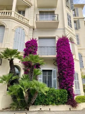 a building with purple flowers on the side of it at Superbe 2 pièces à Cannes in Cannes