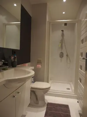 a bathroom with a shower and a toilet and a sink at Superbe 2 pièces à Cannes in Cannes