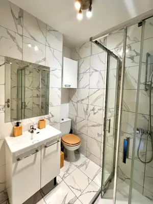 a bathroom with a shower and a toilet and a sink at T2 cosy, calme à 5 min de la Croisette in Le Cannet