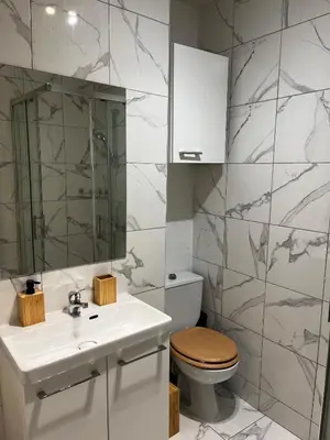 a bathroom with a toilet and a sink and a mirror at T2 cosy, calme à 5 min de la Croisette in Le Cannet