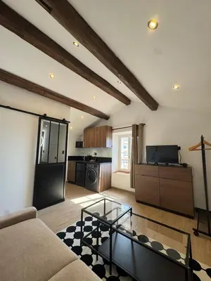 a living room with a couch and a kitchen at Studio Cannes, near Croisette in Cannes