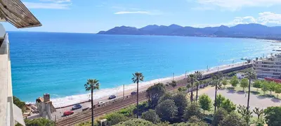 a view of a beach with palm trees and the ocean at Cannes Studio Vue mer Panoramique Château de la Mer in Cannes