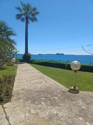 two spheres on a path with a palm tree in the background at Cannes Studio Vue mer Panoramique Château de la Mer in Cannes
