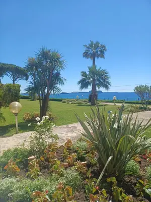 a garden with palm trees and the ocean in the background at Cannes Studio Vue mer Panoramique Château de la Mer in Cannes