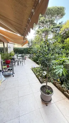 a potted tree in a pot on a patio at Studio basse californie cannes in Cannes