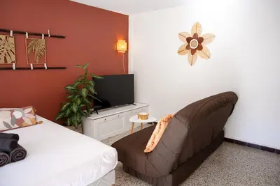 a living room with a couch and a tv at Very Quiet Palm Beach Studio Close Beach in Cannes