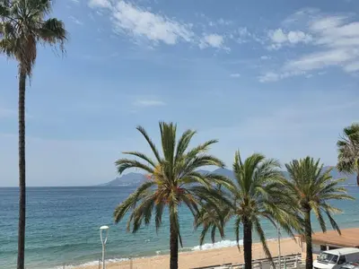 a group of palm trees on a beach with the ocean at Apartment Le Panoramer by Interhome in Cannes