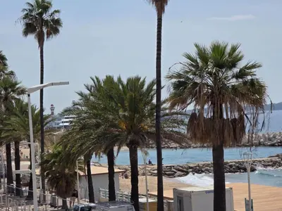 a group of palm trees on a beach at Apartment Le Panoramer by Interhome in Cannes