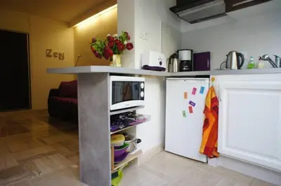 a kitchen with a counter next to a refrigerator at CANNES POINTE CROISETTE Garden & Beach in Cannes