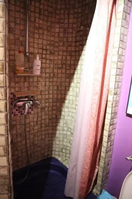 a bathroom with a shower with a shower curtain at Belle vue mer in Cannes
