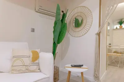 a living room with a white couch and a plant at LE MIMOSA mignon en plein centre-ville, emplacement parfait pour votre séjour in Cannes