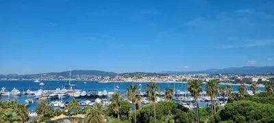 a view of a marina with boats and palm trees at Vue unique sur toute la baie de Cannes et la mer in Cannes