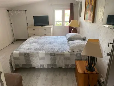 a bedroom with a large bed and a television at Bastide Anna in Le Cannet