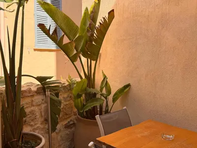 a plant in a pot sitting next to a table at CB Cannes- NEW YORK in Cannes