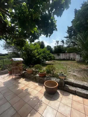 a patio with several potted plants in a yard at La Sérénade in Vallauris
