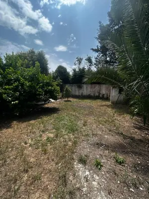 an empty yard with a fence and trees at La Sérénade in Vallauris