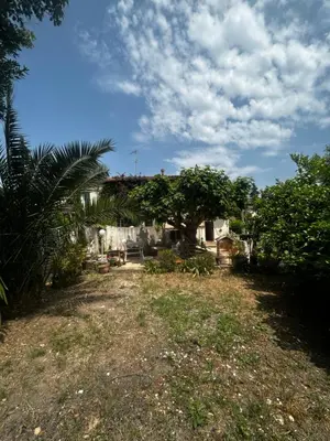 a yard with a tree and a house at La Sérénade in Vallauris
