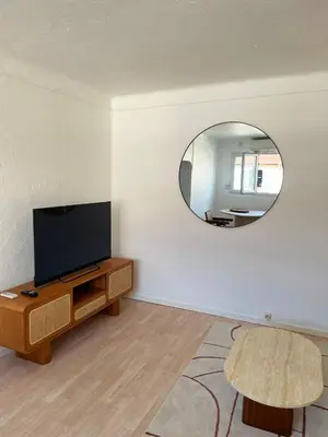 a living room with a tv and a mirror at Chic studio Palais 2 min away in Cannes