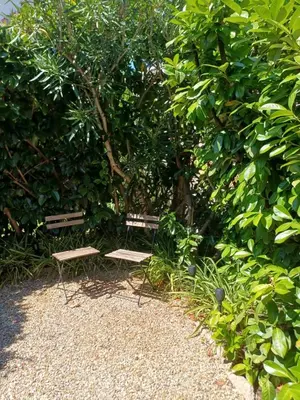 two benches sitting in front of a tree at Maison palm in Cannes