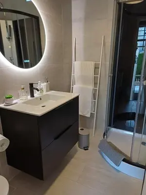 a bathroom with a sink and a mirror and a shower at Maison palm in Cannes