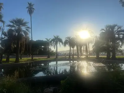 a park with palm trees and a pool of water at Rooftop La Croisette Cannes in Cannes