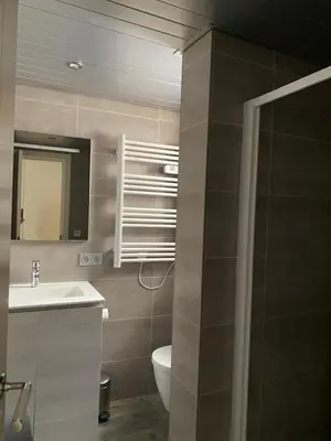 a bathroom with a sink and a toilet and a mirror at Pretty flat in Cannes