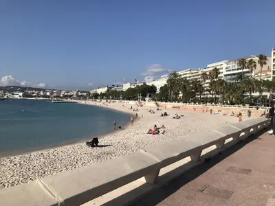 a group of people on a beach near the water at Studio à 100 mètres de la plage et de la Croisette in Cannes