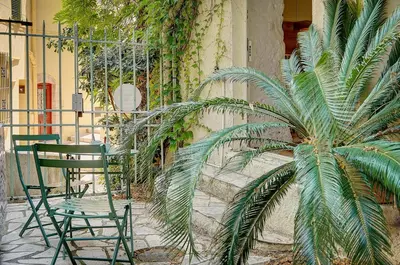a palm tree sitting next to a table and chairs at Sandra - Atypical and Charming - Suquet - VCA in Cannes