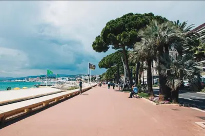 a sidewalk next to a beach with palm trees at Cannes Banane in Cannes