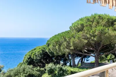 a group of trees next to the ocean at 2-Br Apartment Sea View & Pool Cannes Croix des Gardes in Cannes