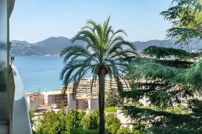 a palm tree in front of a city and the ocean at 2-Br Apartment Sea View & Pool Cannes Croix des Gardes in Cannes