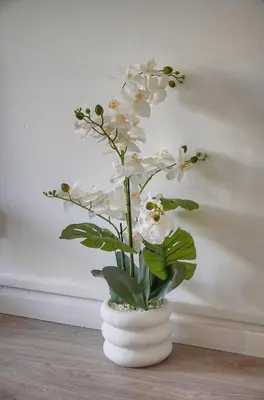 a white vase with white flowers in it at FRGK Stanislas Apartment Terrace, Central Cannes AC & ULTRA FAST Wi-Fi in Cannes