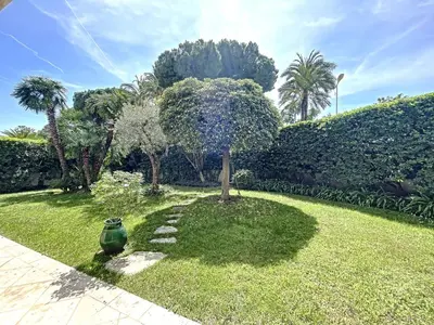 a garden with a tree in the middle of a yard at 3-bedroom apartment on La Croisette with garden in Cannes