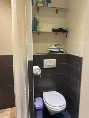 a small bathroom with a toilet and a sink at Apparemment151 in Cannes