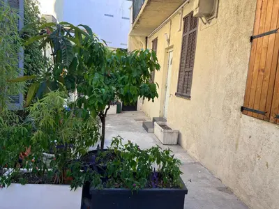 an alley with plants and a tree in a pot at Apparemment151 in Cannes