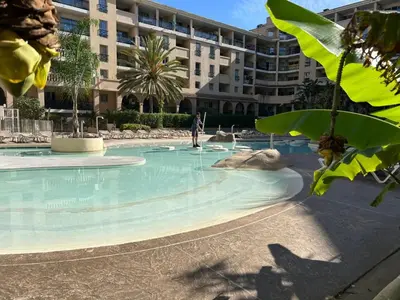 a large pool with a elephant laying in the water at Le Beach 1 min plage , piscine , terrasse in Cannes