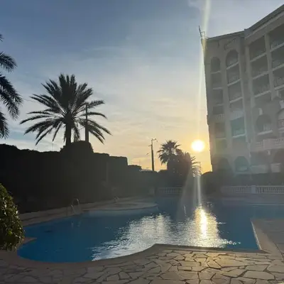 Palm d'Azur 459