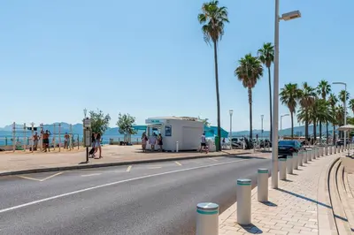 a street with palm trees on the side of the road at Le 45 Clémenceau - Superbe logement proche plages et Palais in Cannes