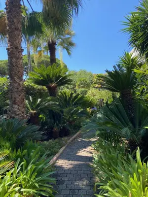 a walkway through a tropical garden with palm trees at Prince de Galles in Cannes