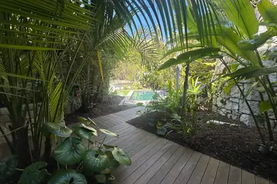 a wooden walkway in a tropical garden with plants at Cannes - Villa for rent - 2179 in Cannes