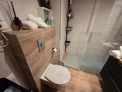 a bathroom with a toilet and a shower at Apartment Les Sablons-3 by Interhome in Cannes