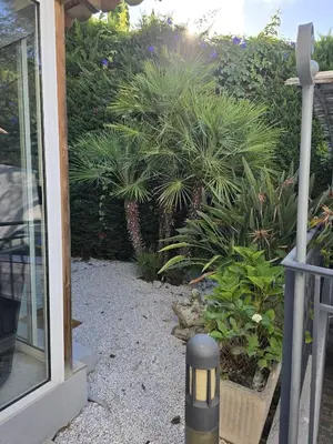 a garden with plants and a light next to a door at 1-Bedroom guesthouse with pool access in Cannes