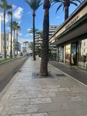 a sidewalk with palm trees in front of a store at Cannes hyper centre appartement luxe 5 étoiles terrasse in Cannes